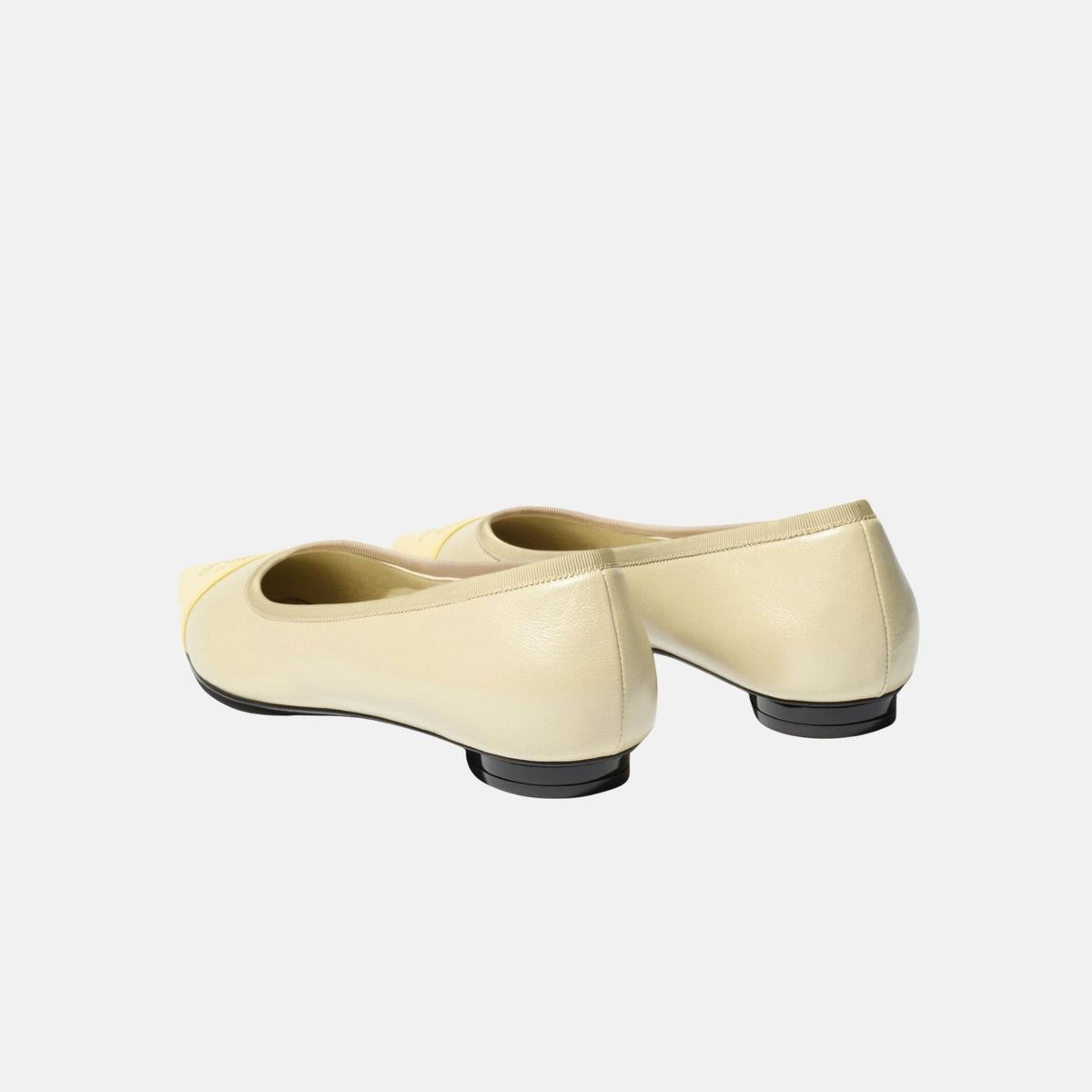 Ballet Flats in Iridescent Lambskin