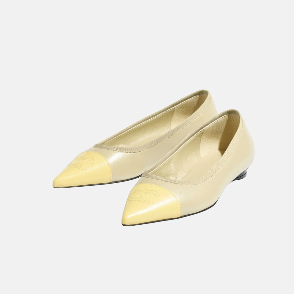 Ballet Flats in Iridescent Lambskin