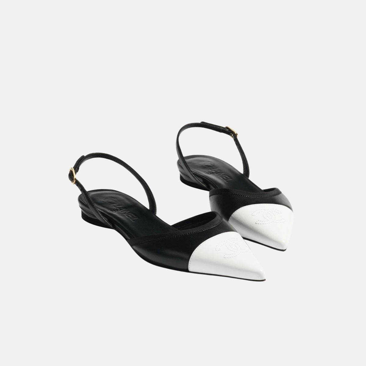 Slingbacks in Iridescent Lambskin