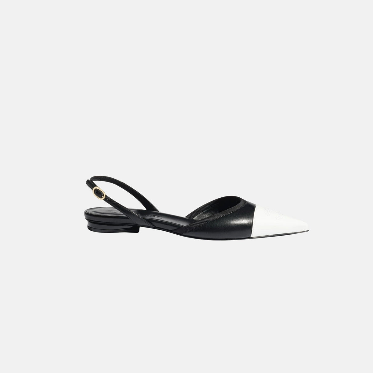 Slingbacks in Iridescent Lambskin