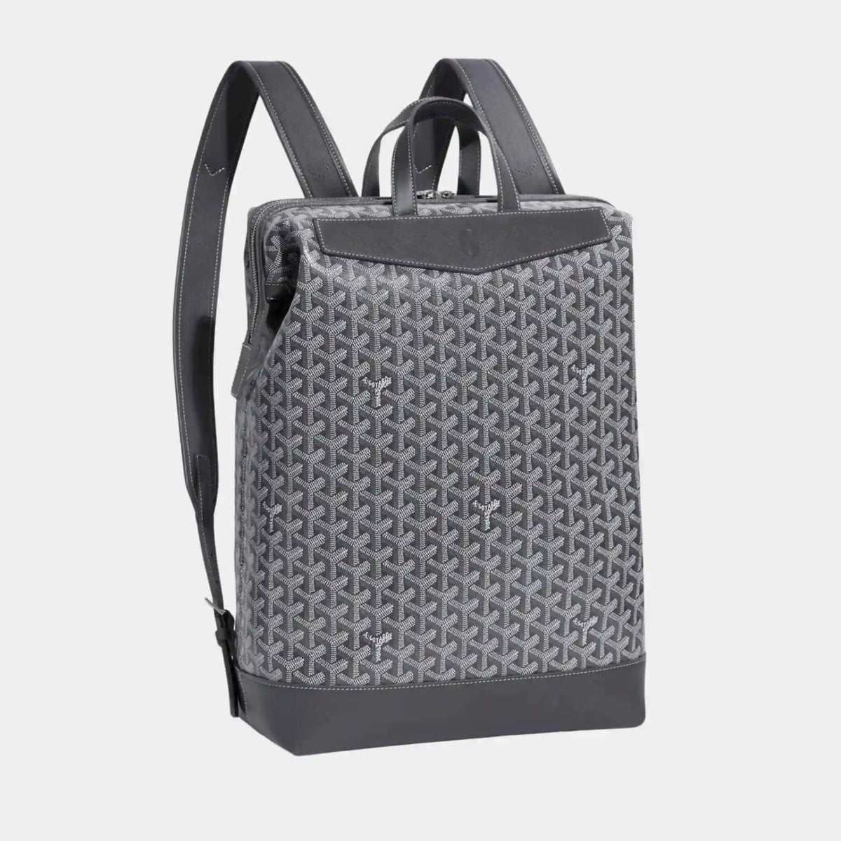 Cisalpin Backpack
